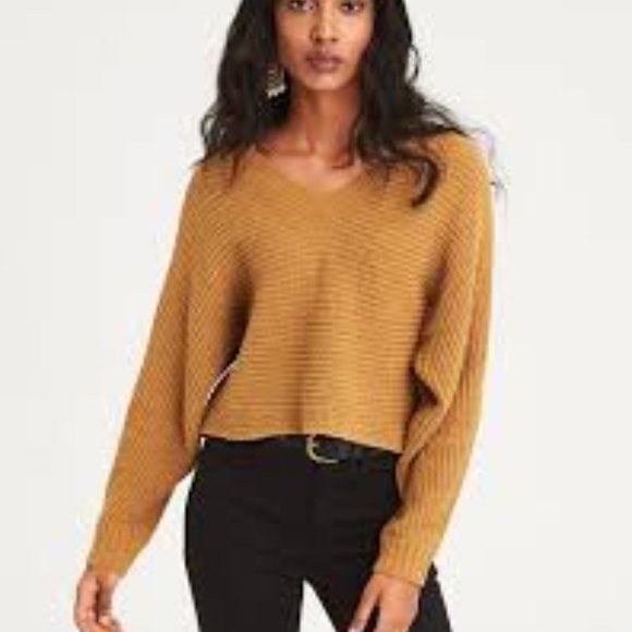 American Eagle Outfitters Sweaters - Cloud soft cropped sweater